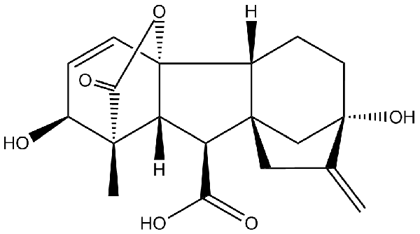 赤霉素GIBBERELLIC ACID，居然有這么神奇？